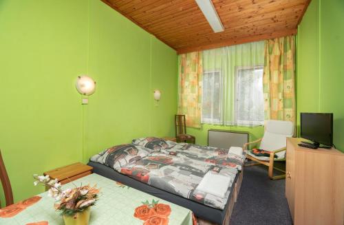 梅图耶河畔新城Ubytovna Z-SPORT的一间卧室设有绿色的墙壁、一张床和电视