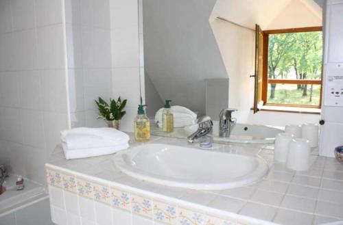ContresLa rabouillere的白色的浴室设有水槽和镜子