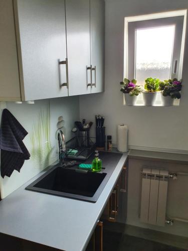 贝尔格莱德Apartment New Belgrade Home的厨房设有水槽和窗户。
