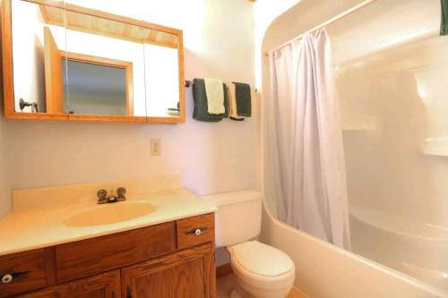 Otter Lake阳光角度假村有限公司的一间带水槽、卫生间和淋浴的浴室