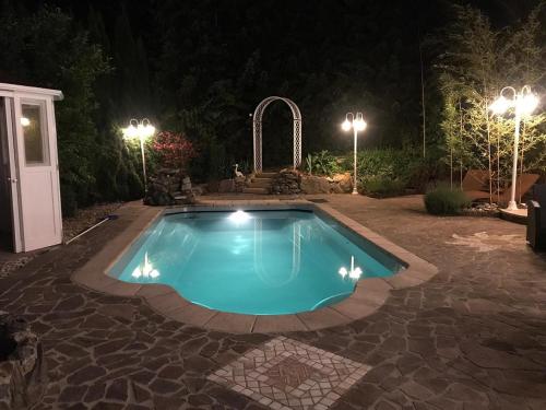 Sankt Martin am GrimmingVilla Salza的夜间在院子里的游泳池