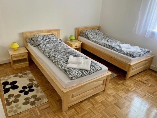 豪伊杜索博斯洛Anita Apartman的配有两张单人床的客房,铺有地毯