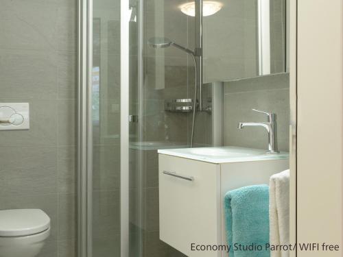 采尔马特采尔马特公寓的一间带水槽、卫生间和淋浴的浴室
