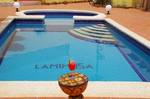 土巴迪亚劳Hotel Mimosa Airport的游泳池的照片,鸟儿坐在碗里