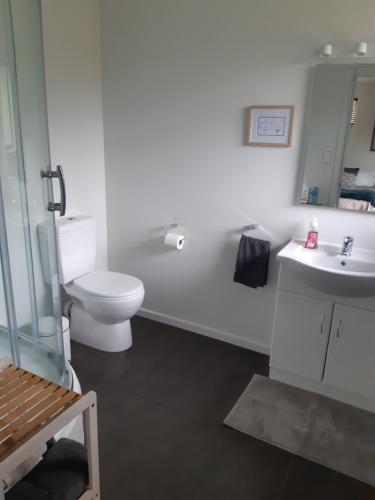 奥托罗杭阿The End Lounge B&B的白色的浴室设有卫生间和水槽。