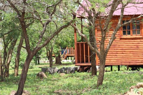 MkuzeIgula lodge的树中间的小木屋