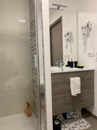 安锡RAYAN 4 étoiles - Proche Lac & Vieille Ville, Garage Privé, Secteur recherché的带淋浴、盥洗盆和镜子的浴室