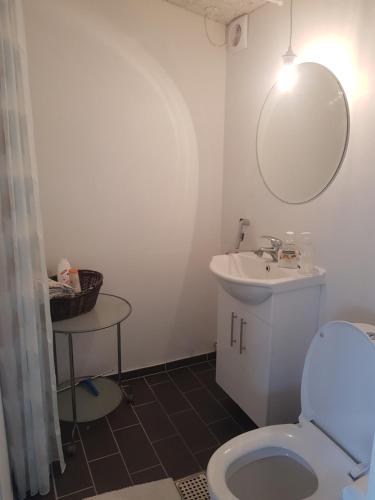 Allingåbro1 room with private Bath的一间带卫生间、水槽和镜子的浴室