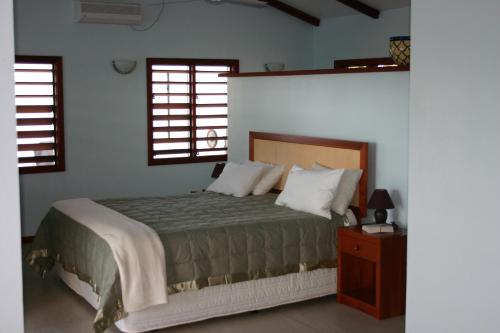拉奇拉奇斐济布拉兰奇别墅酒店的一间卧室设有一张床和两个窗户。
