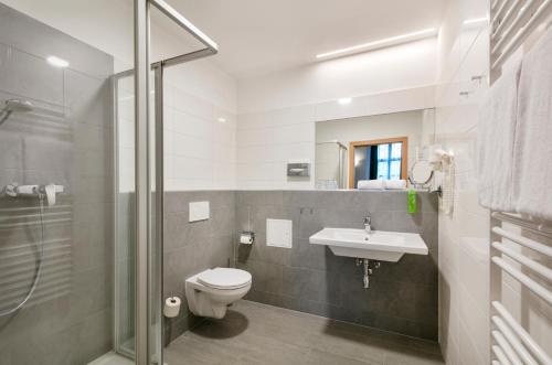 阿德蒙特JUFA Hotel Schloss Röthelstein的浴室配有卫生间、盥洗盆和淋浴。