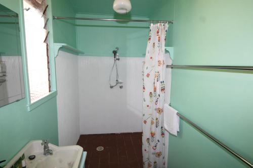 Cowan CowanSignal Cottage的浴室配有淋浴帘和盥洗盆。