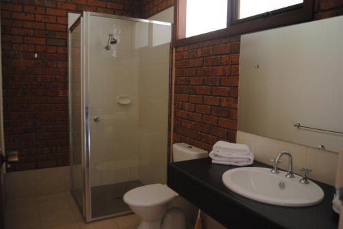 汉密尔顿Grange Burn Motel的一间带水槽、卫生间和淋浴的浴室