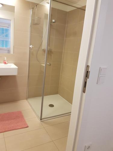 维也纳Vienna Home48的浴室里设有玻璃门淋浴
