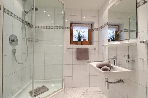 奥伯斯特多夫Landhaus Am Schelmenhag 13a的白色的浴室设有水槽和淋浴。