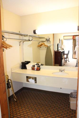 切罗基格雷特斯莫基大酒店-切诺基的一间带水槽和大镜子的浴室