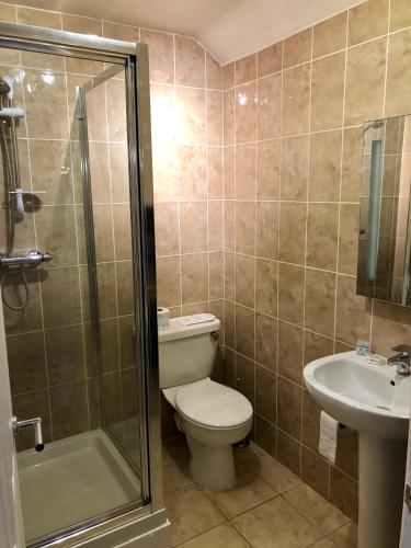 科尔福德Butchers Arms的浴室配有卫生间、淋浴和盥洗盆。