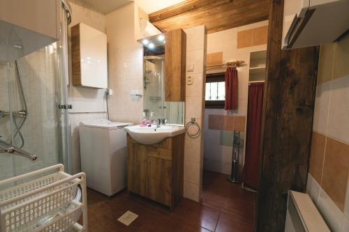 斯皮什新村Chata Sosna的一间带水槽和淋浴的浴室