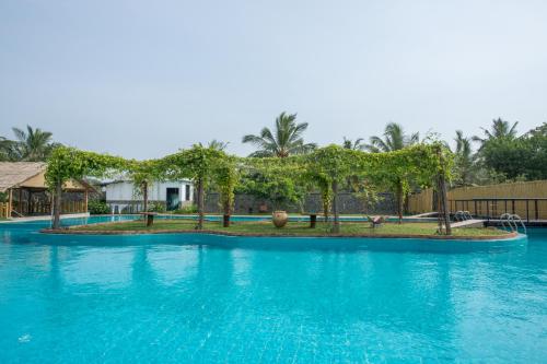 尼甘布Amaluna Resorts的度假村内的一个蓝色海水游泳池