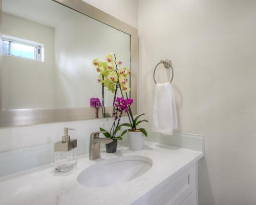 北湾Moon River Suites #5的浴室设有水槽、镜子和鲜花