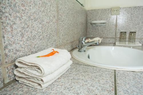 菲亚纳兰楚阿Tsara Guest House的浴室配有水槽、浴缸和毛巾