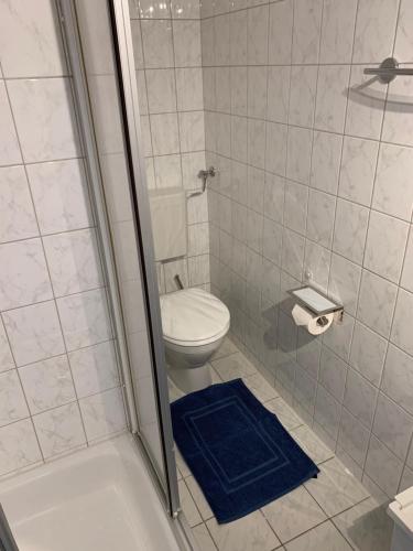 若特阿赫-埃根Ferienwohnung Giacomelli 3的带淋浴、卫生间和蓝色地毯的浴室