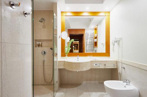 维索卡维斯迪卢斯奇山伊莲娜·厄里斯博士SPA酒店的一间带水槽、淋浴和镜子的浴室