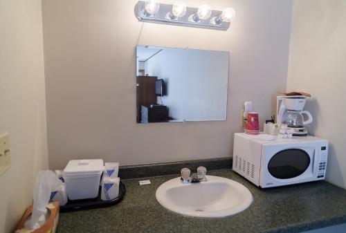 MontagueWinds Motel的一间带水槽和微波炉的浴室