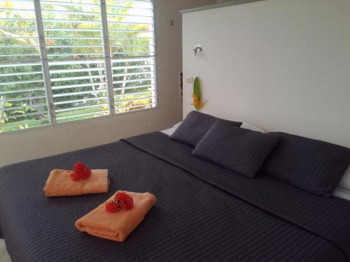 里奥圣胡安Domaine Vista Linda La casita del Loma Vista Mar的一间卧室配有蓝色的床和毛巾
