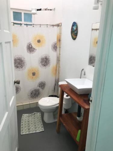 萨玛拉green house two bedrooms的一间带卫生间和淋浴帘的浴室
