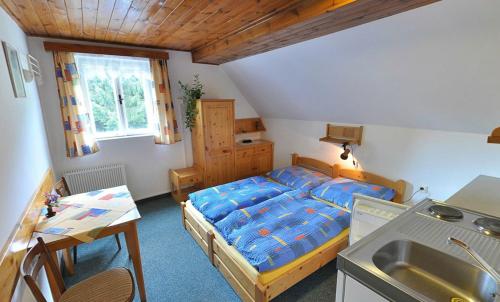 梅图耶河畔特普利采Pension Dita - Adršpach的一间带床和水槽的小卧室