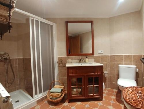 圣比森特德拉松谢拉75 Avenida de la Rioja的一间带水槽、卫生间和镜子的浴室