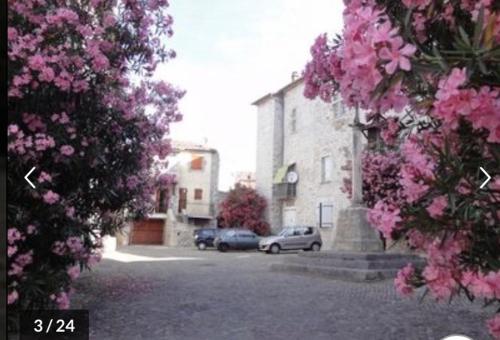 吕奥姆Ruoms Petite Maison 3* centre-village的一条有汽车停在停车场的街道,有粉红色的花