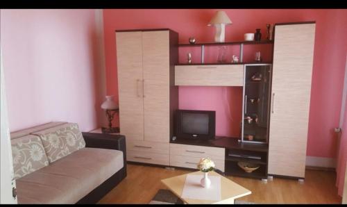 索科矿泉村Apartman Luka的带沙发和电视的客厅