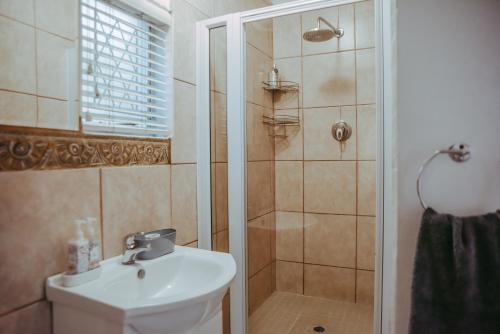 布隆方丹Yellow Door的一间带水槽和淋浴的浴室