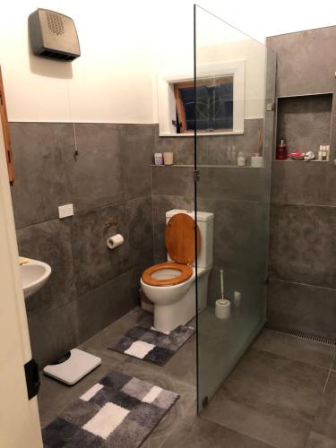 怀希Araluen Cottage的一间带卫生间和玻璃淋浴间的浴室