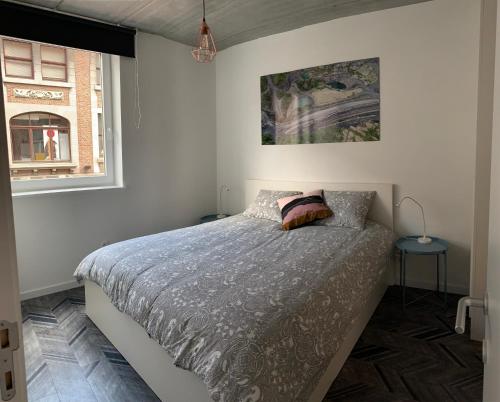 图尔奈Gîtes de Tournai - Les carrières的一间卧室设有一张床和一个窗口