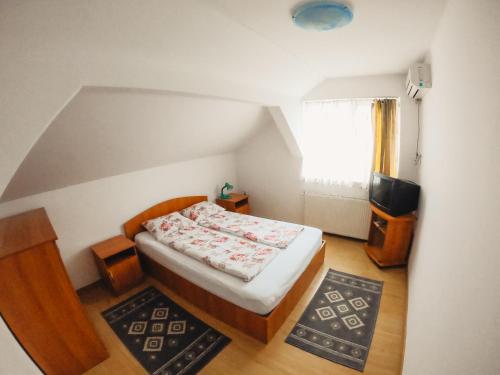 科瓦斯纳Pensiunea Apolka Panzió的一间小卧室,配有一张床和电视
