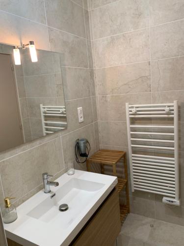 沙布利Gîte Chablisien的浴室设有白色水槽和镜子