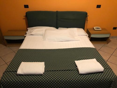 雷焦艾米利亚阿利罗尼酒店的一张大床,上面有两个白色枕头