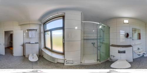 罗森海姆Alpina home的一间带两个卫生间、淋浴和窗户的浴室