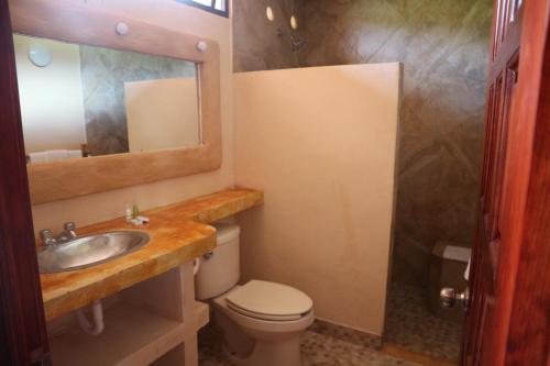萨卡特兰HOTEL ALTAVISTA的一间带卫生间、水槽和镜子的浴室