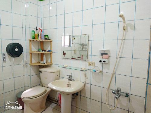 Lanyu蘭嶼文忠民宿的一间带卫生间和水槽的浴室
