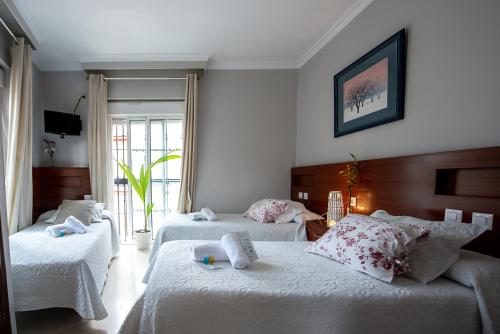 塞维利亚老城墙旅馆的一间卧室配有两张带白色床单的床