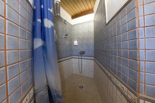 圣巴托洛梅Casa rural en Hoya de Tunte 3的带淋浴的浴室和蓝色瓷砖墙壁