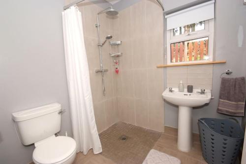 基拉尼Kerry Air的浴室配有卫生间、盥洗盆和淋浴。