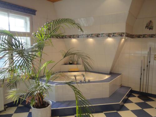 克尼特尔费尔德Zeilinger Villa的一间带浴缸的浴室,里面装有两株植物
