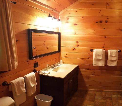 威尔明顿The Wilderness Inn: Chalets的一间带水槽和镜子的浴室