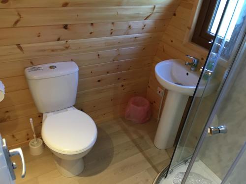 基尔基Emlagh, Self Catering Glamping Pods的一间带卫生间和水槽的浴室