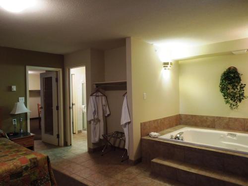 落基山庄沃金伊格旅馆的带浴缸的浴室和卧室
