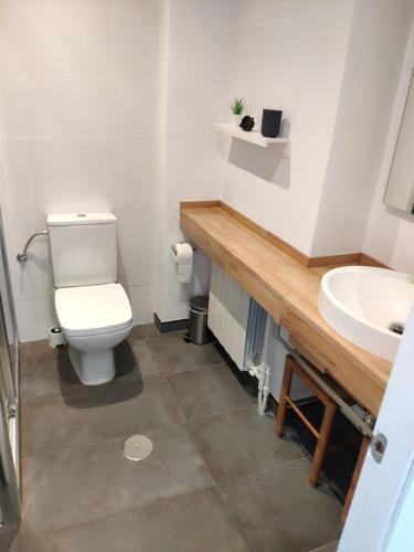 奥维多Apartamento LOS VEGA- parking privado的一间带卫生间和水槽的浴室